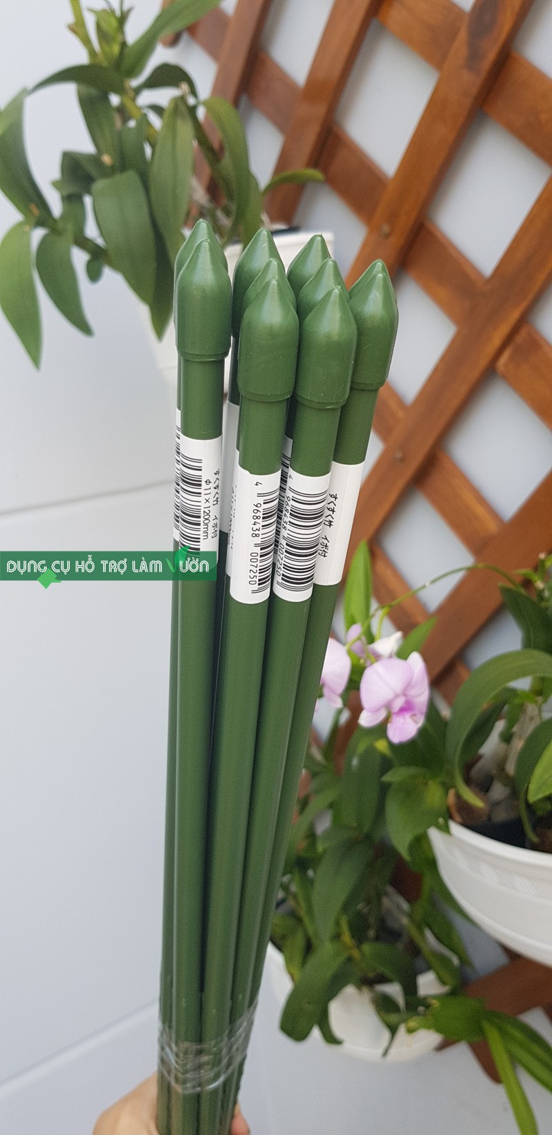 10 ống thép bọc nhựa phi 8 của nhật có nhiều kích thước lựa chọn dùng bền trên 5 năm chuyên dùng làm khung giàn cho cây leo, cắm chống đỡ cây trồng