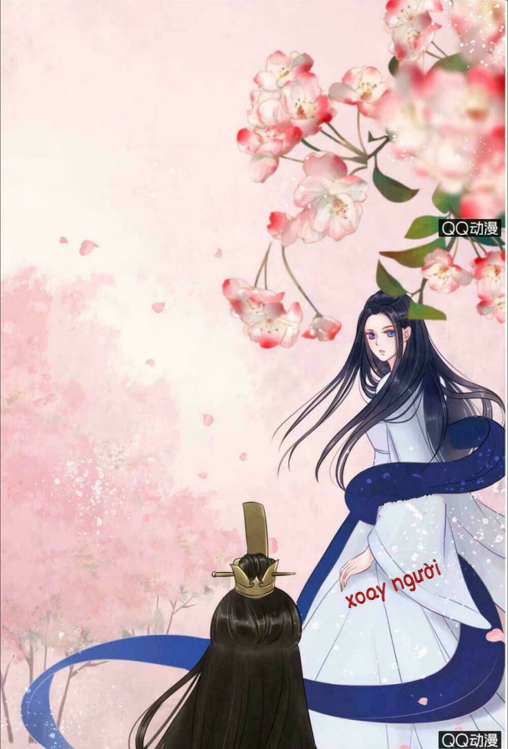 sủng phi của vương chapter 13 11