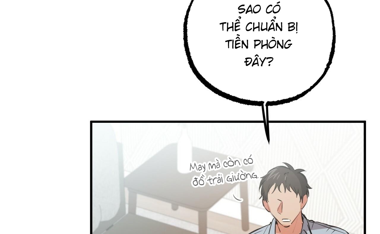 những chú thỏ của hapypy chapter 52 149