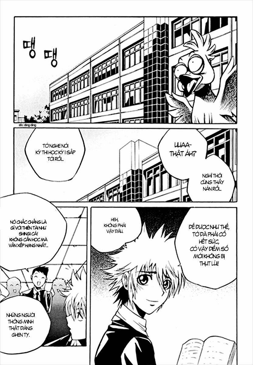 zippy ziggy chapter 37 3