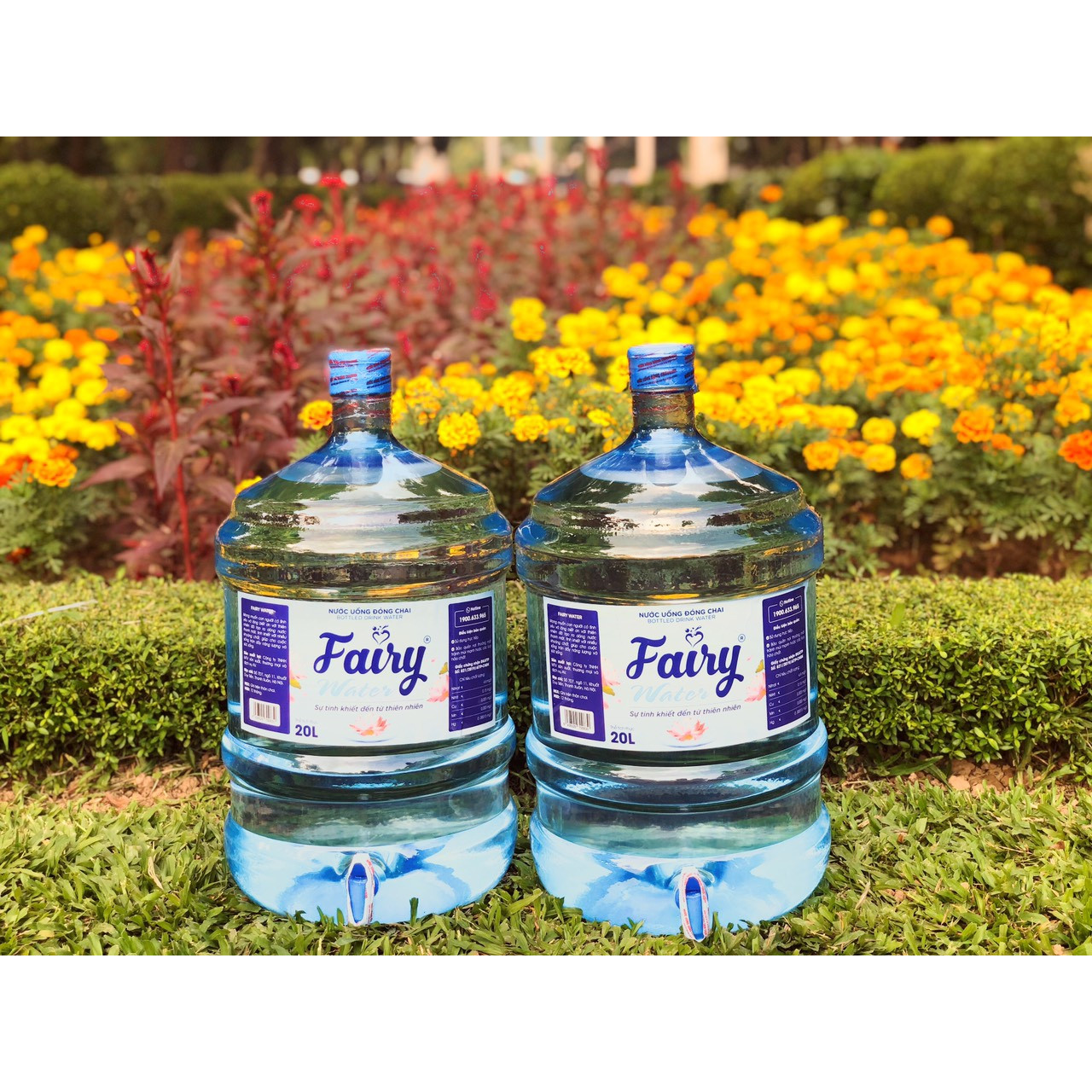 2 Bình nước lọc Fairy Water (20 lít) Bình úp Không có Vòi