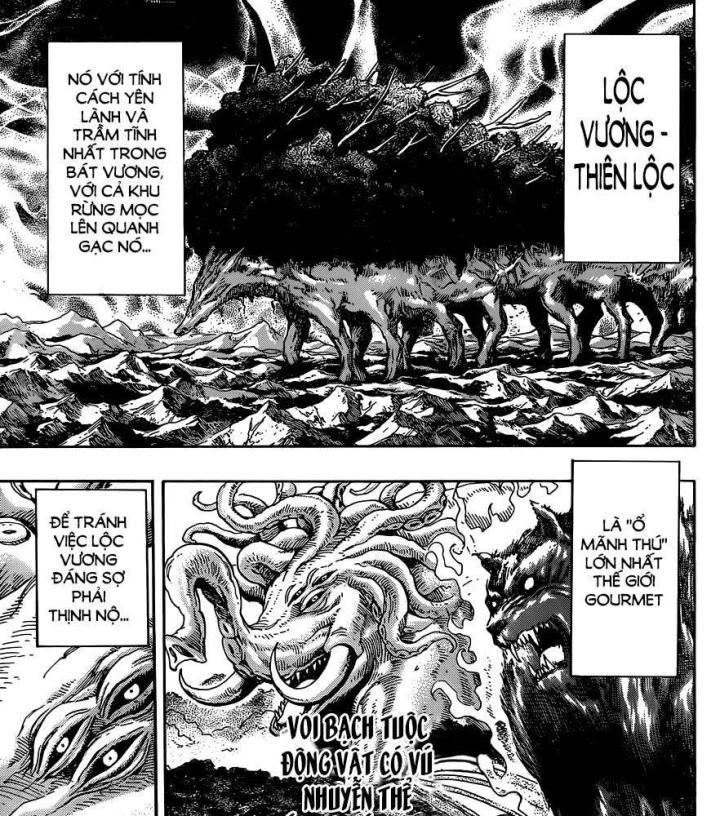 thánh tỏi sành ăn chapter 341 38