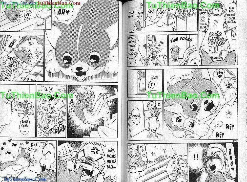 chó con mo mo chapter 2 62