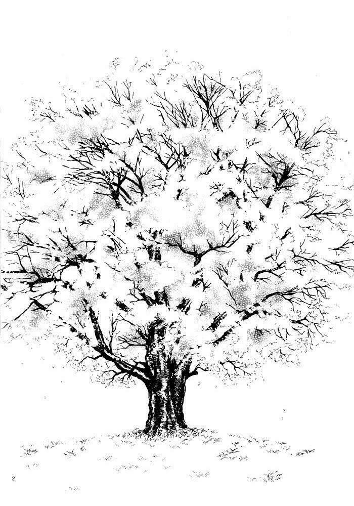 sakura gari chapter 1.1 7