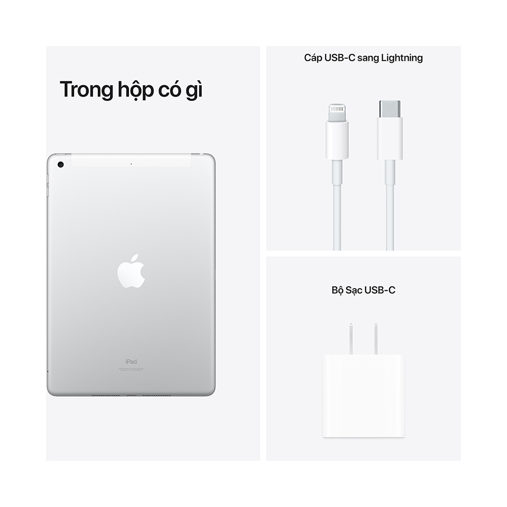 Apple iPad 10.2-inch (9th Gen) Wi-Fi + Cellular 2021
