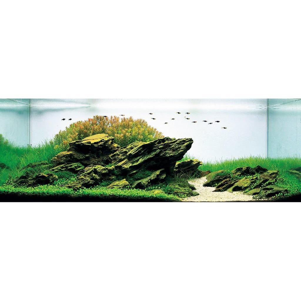 Đá Tiger 1 Kg - Đá Trang Trí Bể Thủy Sinh