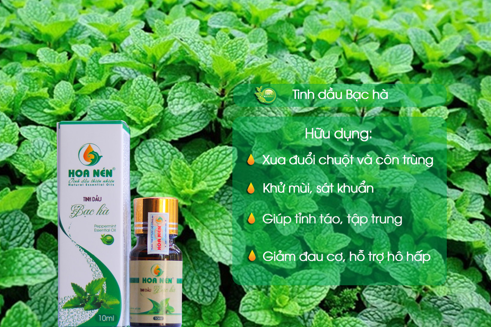 Tinh dầu Bạc hà 30ml - Hoa Nén