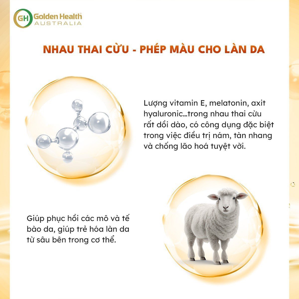 Kem Dưỡng Trắng Da Nhau Thai Cừu Chống Nhăn, Giúp Làm Mờ Vết Thâm Nám, Dưỡng Ẩm Da Luôn Căng Bóng, Mịn Màng, Thúc Đẩy Tái Tạo Tế Bào Mới Golden Health Vitamin E 100g - Nhập Khẩu Chính Ngạch Từ Úc - PHỤNG BEAUTY