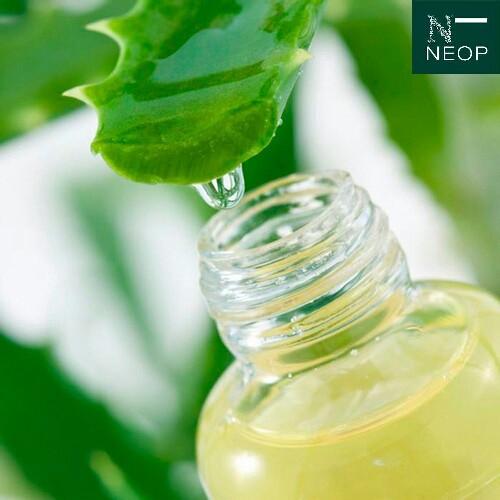 Chiết Xuất Nha Đam NEOP 50ml - Se Khít Lỗ Chân Lông - Aloe Vera Extract - 100% Natural
