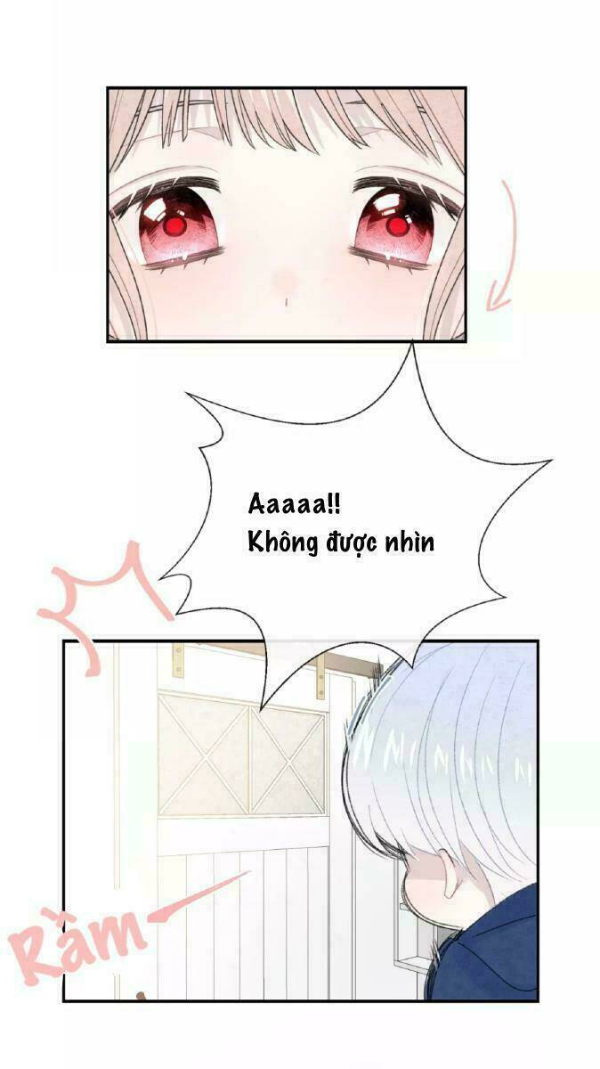 từ cái nhìn của em chapter 34 57