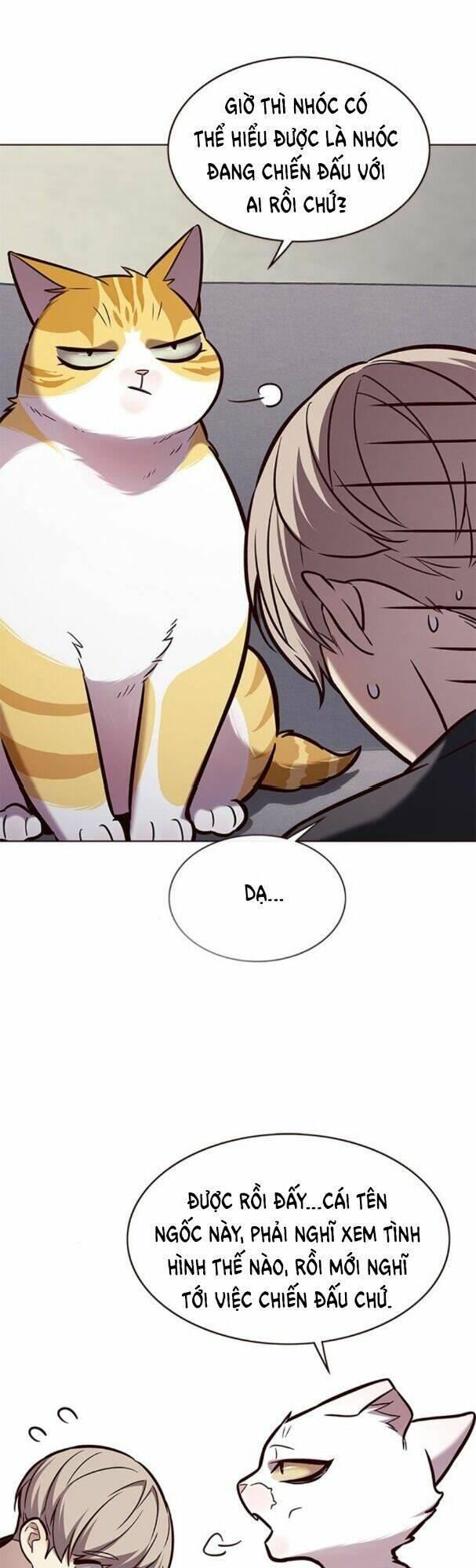 biến thân thành mèo chapter 173 19