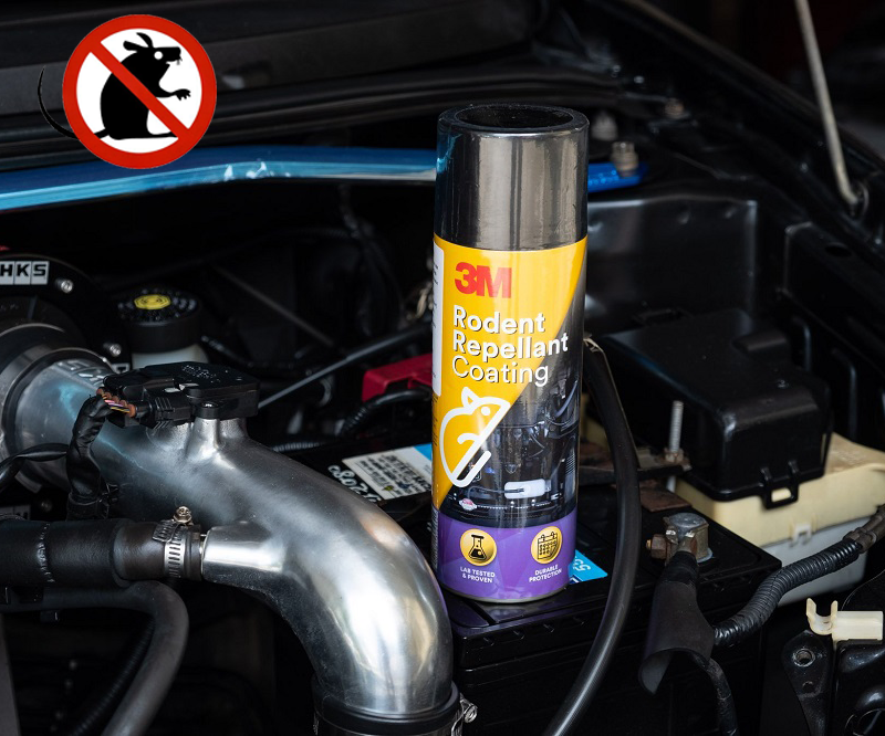Chai Xịt Phủ Chống Chuột Cắn dây điện 3M Rodent Repellant Coating 89797 250g
