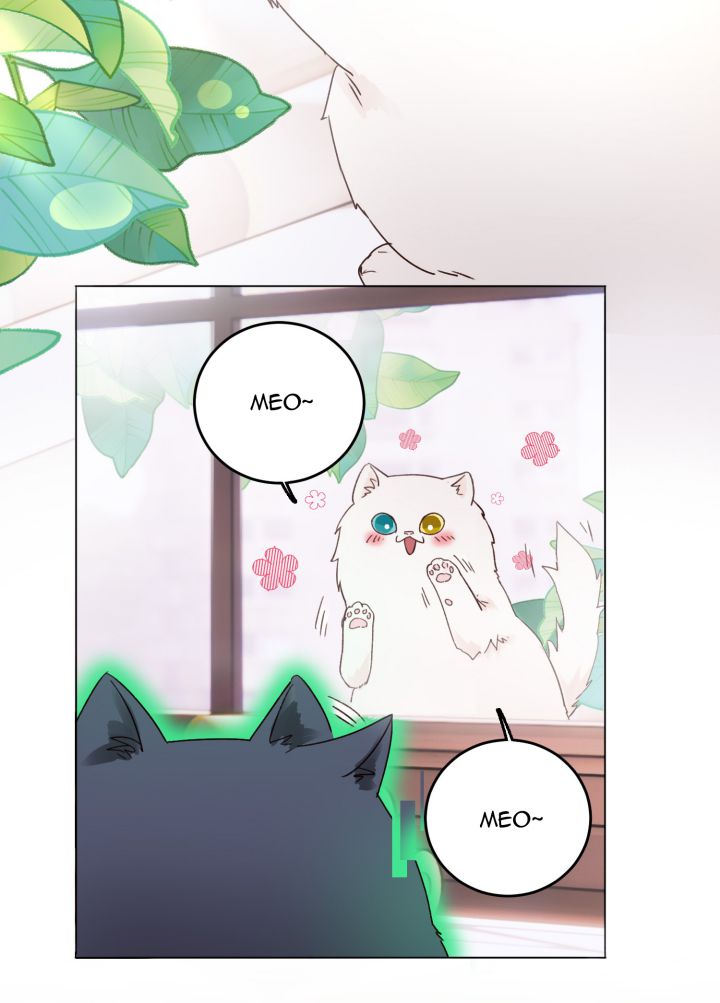 tôi phải làm 1 kẻ đại xấu xa chapter 15 2