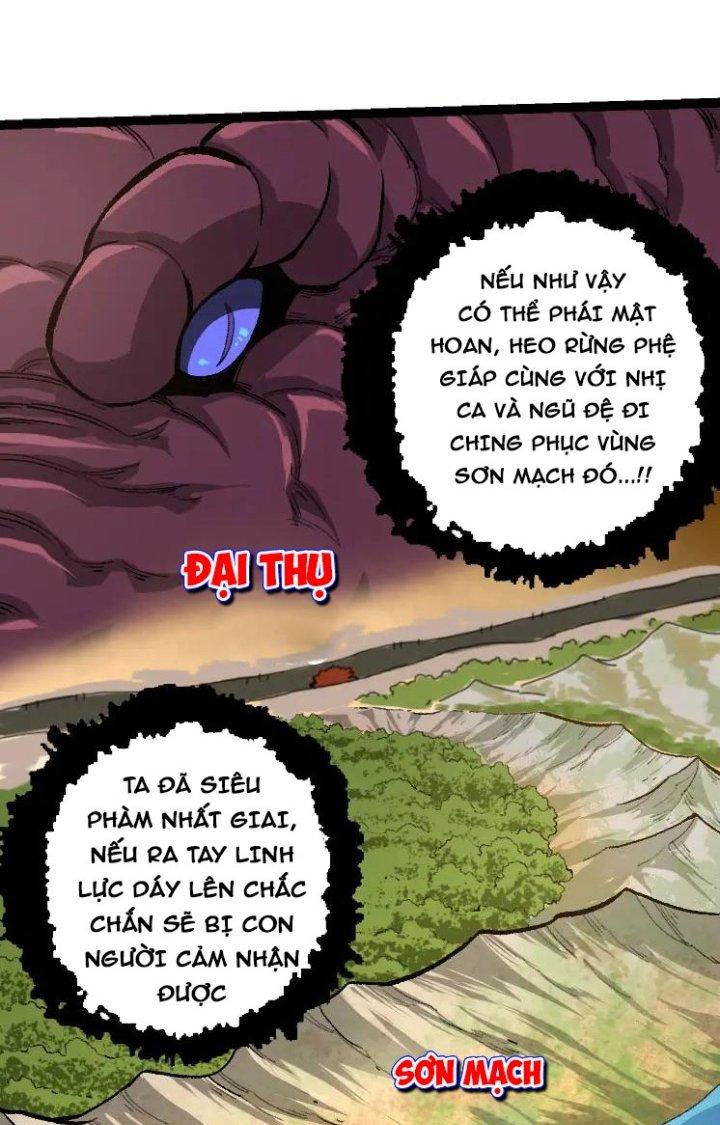 từ cây cổ thụ bắt đầu tiến hóa chapter 40 13
