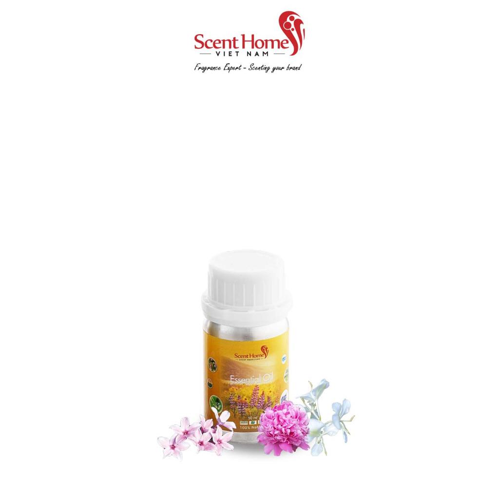 Tinh dầu Scent Homes - mùi hương