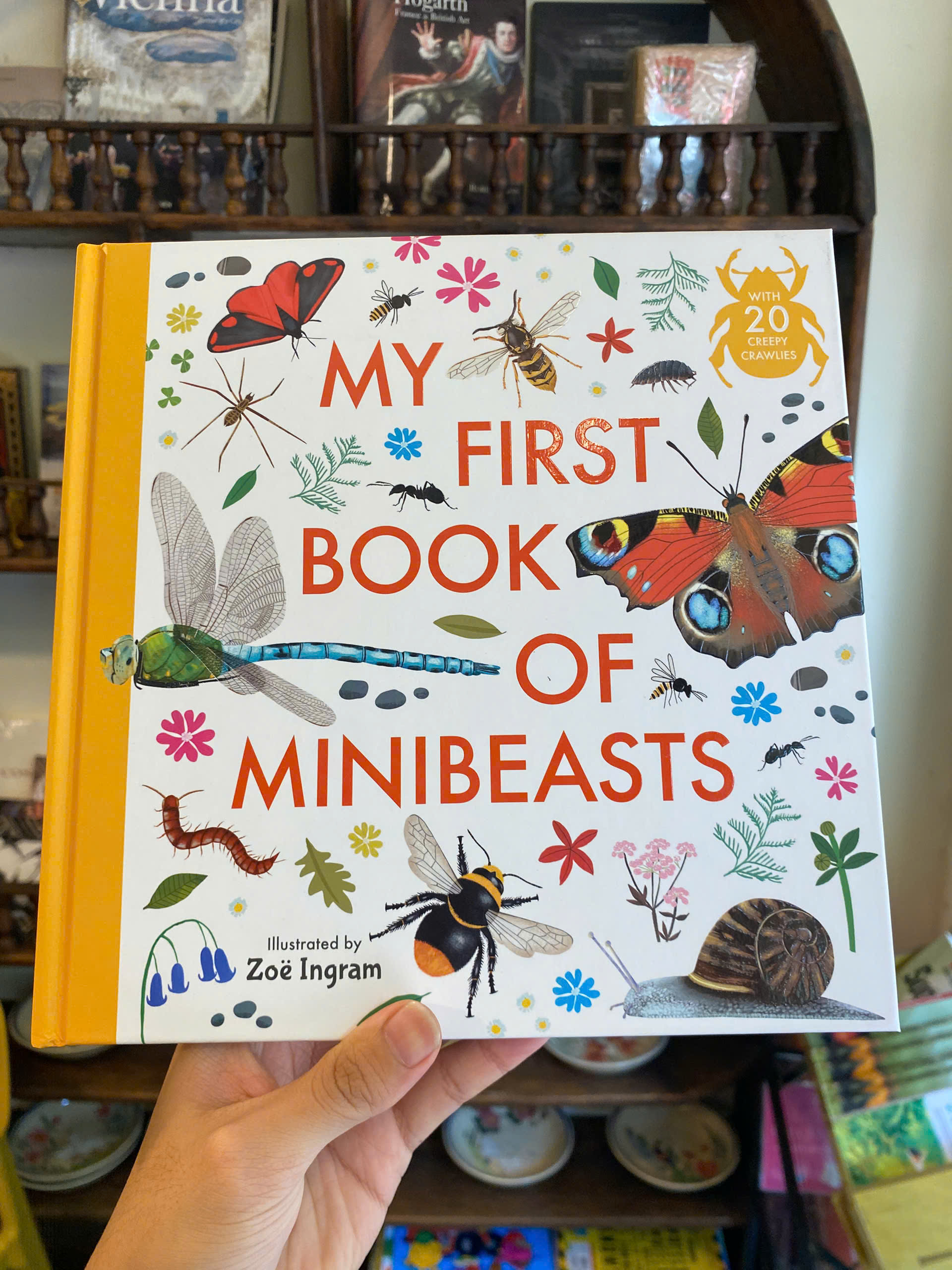 Sách - My First Book of Minibeasts by Zoe Ingram | Children's Picture Book - Nature Science Book