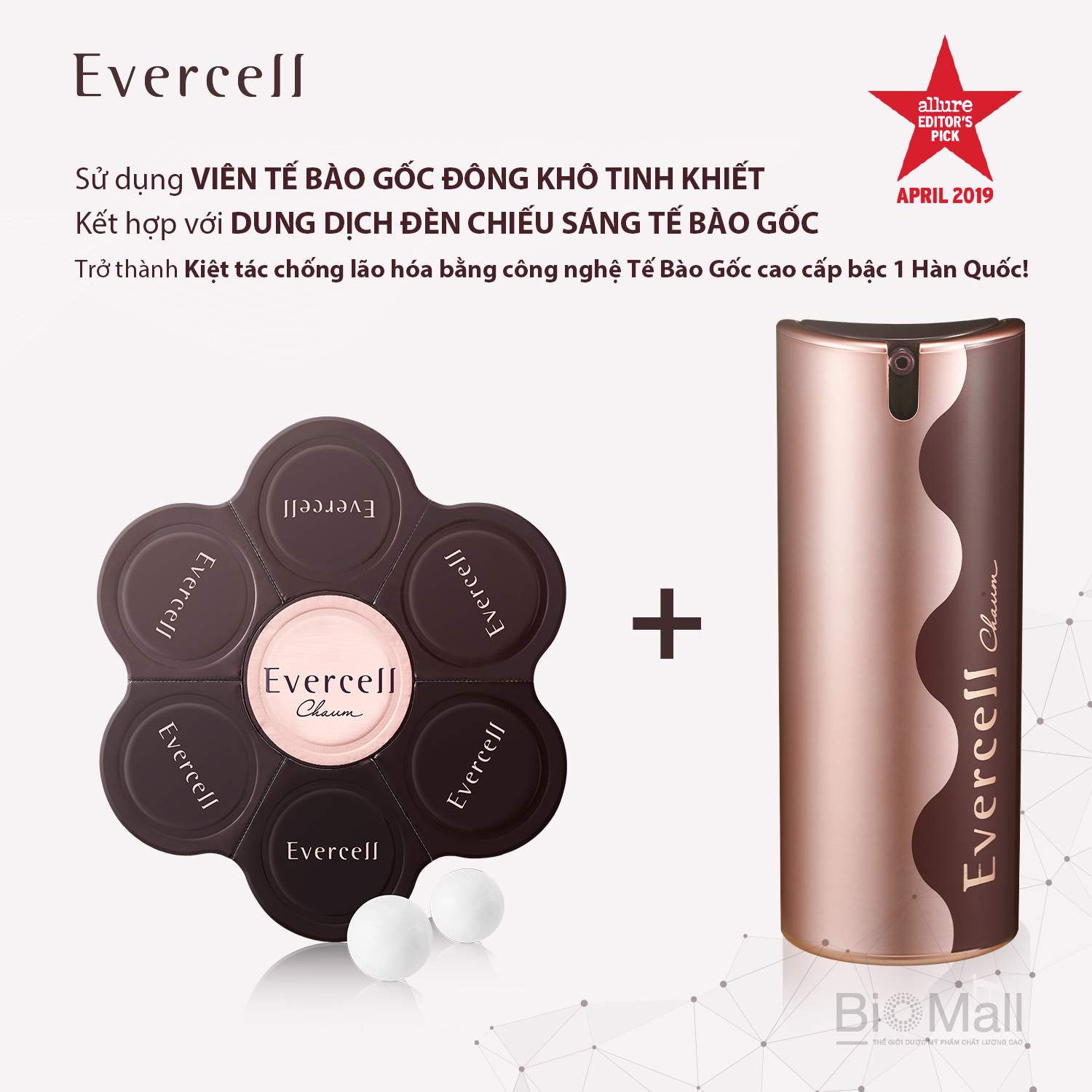 Viên Tế bào gốc đông khô tinh khiết Chống lão hóa EVERCELL Chaum Absolute Luxe Cell Charger 14 viên