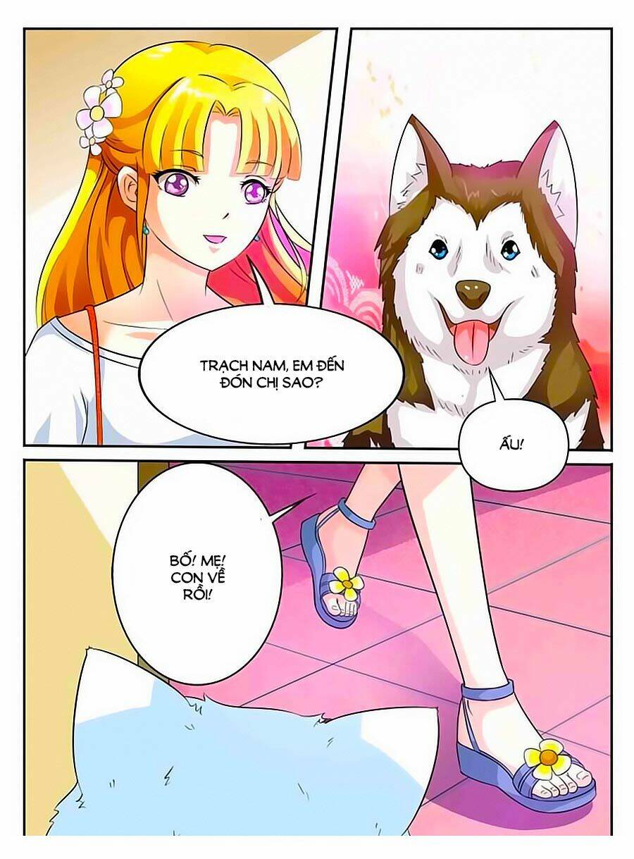 mau lấy con mèo đó ra chapter 8 10