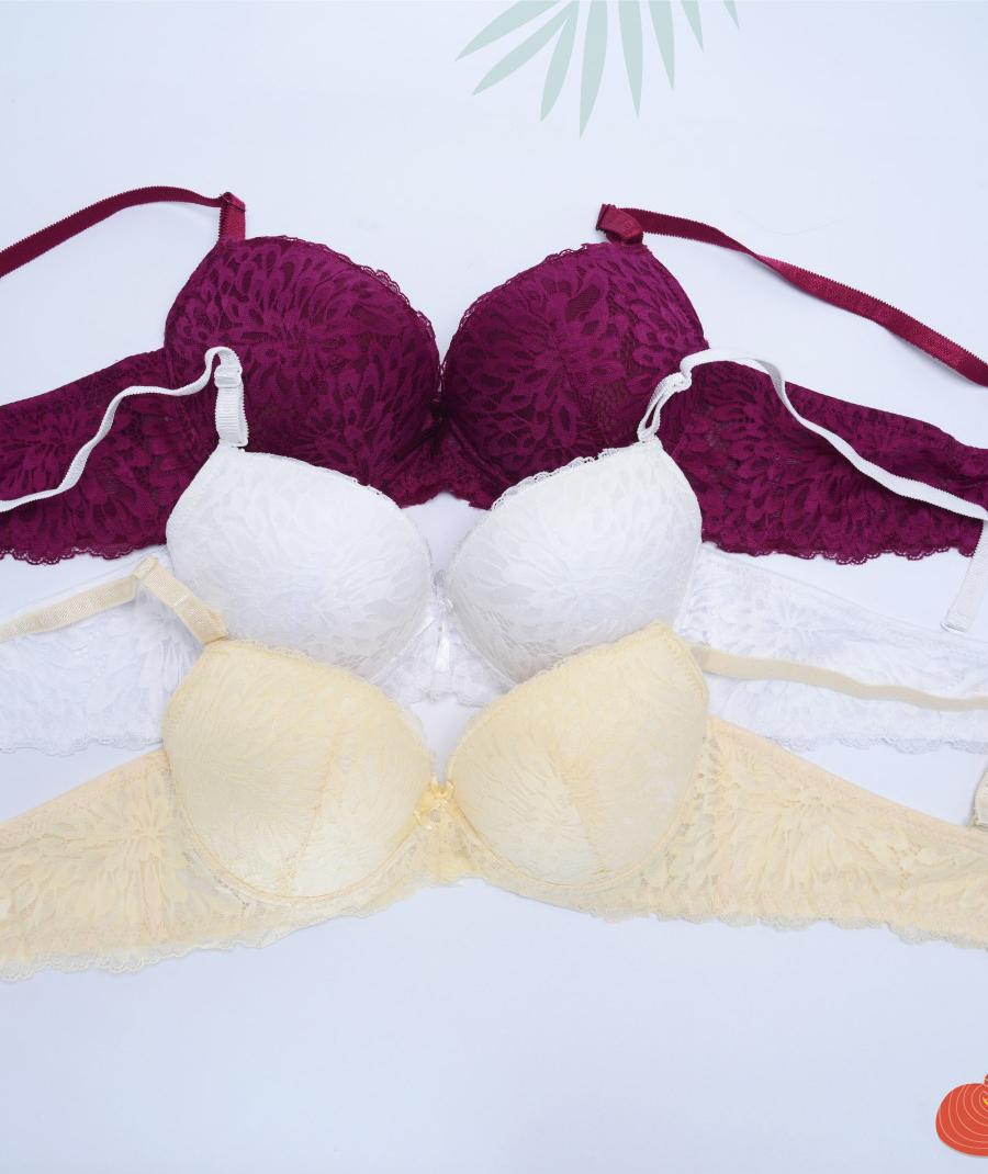 Combo 3 áo lót ren nâng ngực mút mỏng form to 3 màu E255