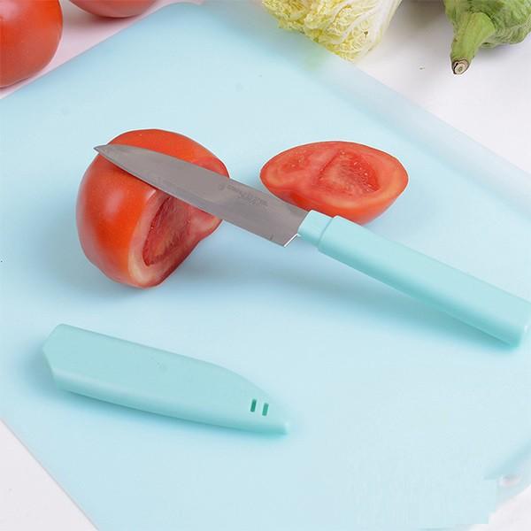 Dao gọt hoa quả có nắp đậy kháng khuẩn Echo - Nội địa Nhật Bản