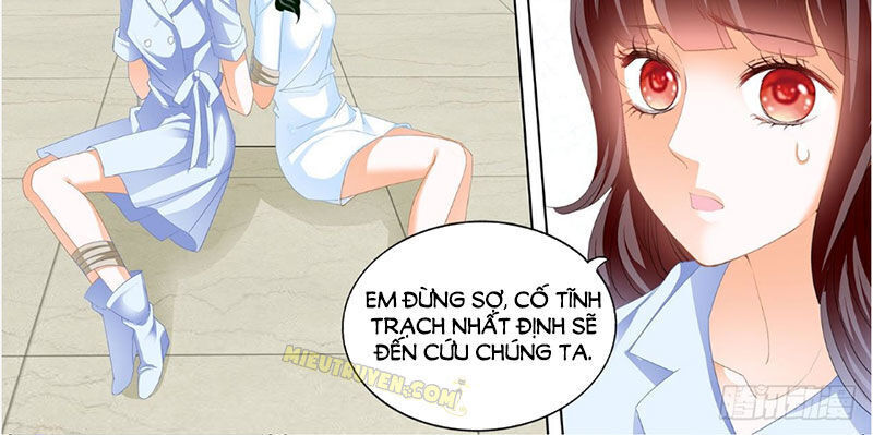 lóe thiểm hôn kiều thê mơ tưởng trốn chapter 246 3