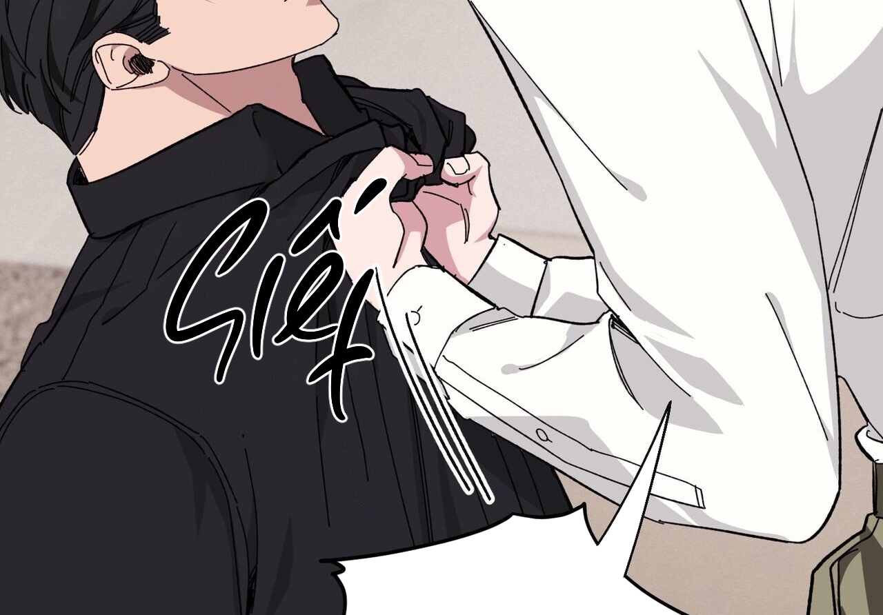 chàng dâu nhà họ kang chapter 33 156