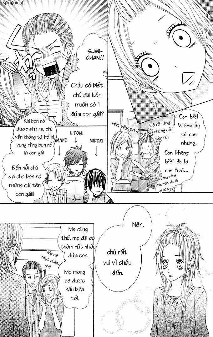 animal jungle chapter 1 13