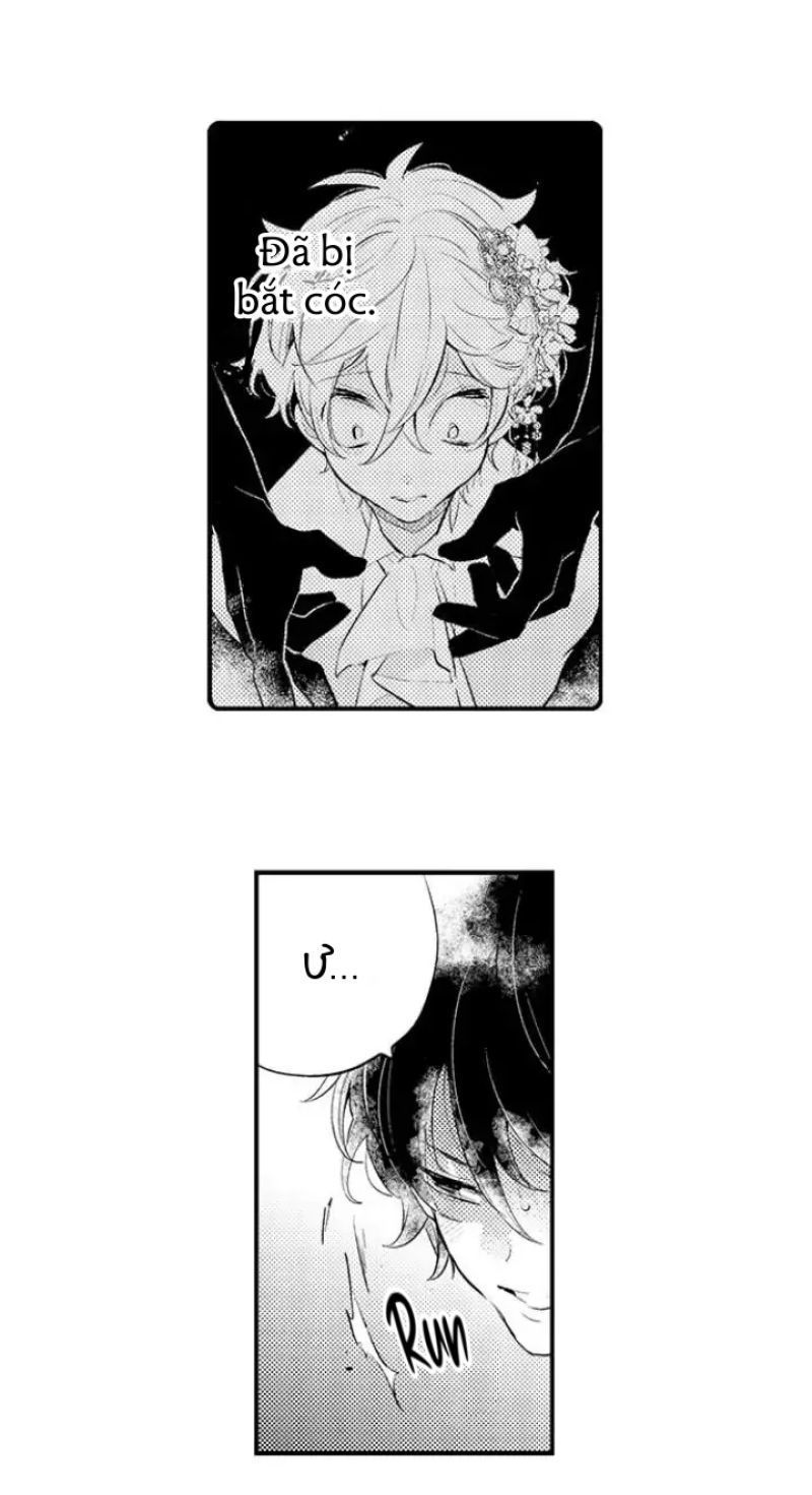 tiếng gọi của tình yêu sau trải nghiệm cận tử chapter 37 4