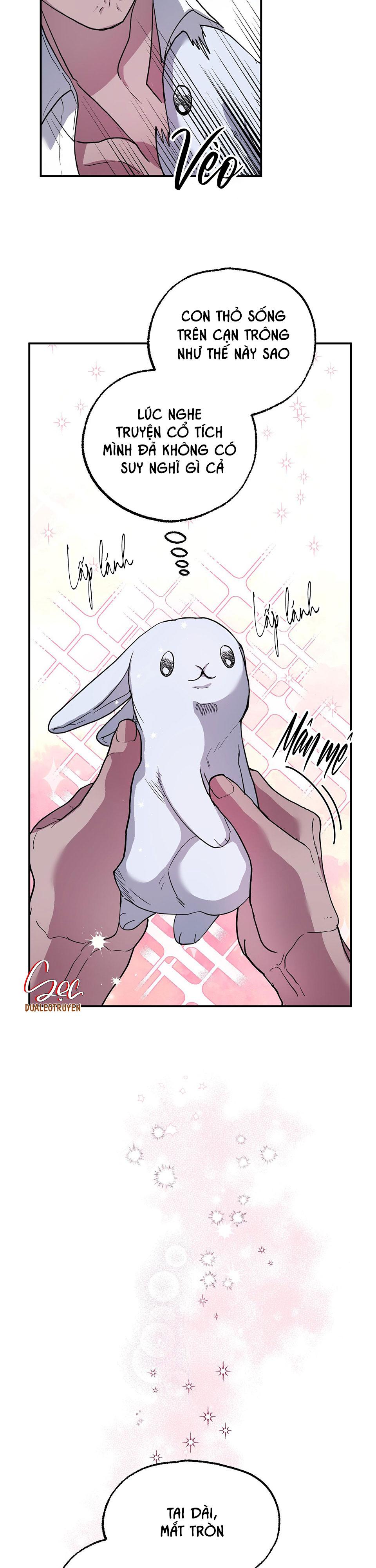 cá mập và cô dâu thỏ chapter 1 11