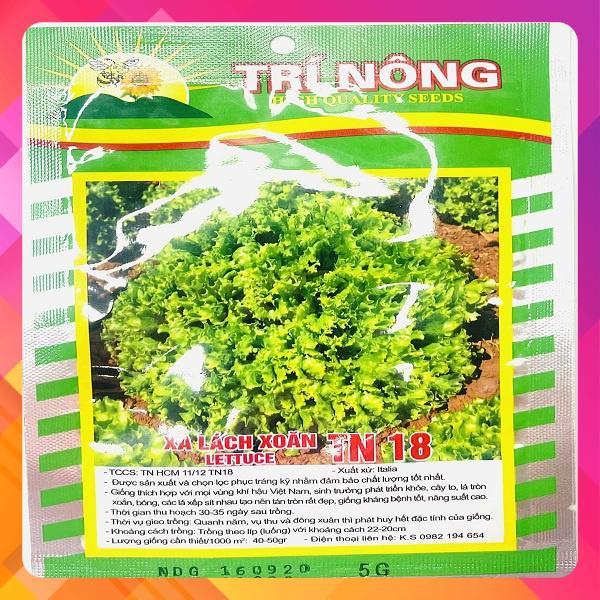 Hạt giống xà lách xoăn TN 18