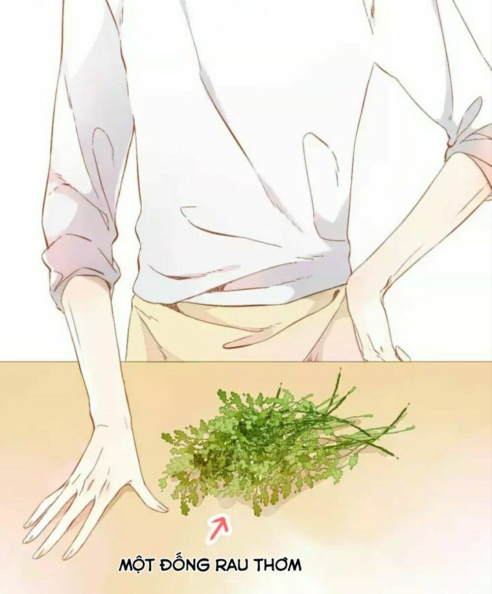 Tình yêu là màu hoa anh thảo chapter 29.2 5