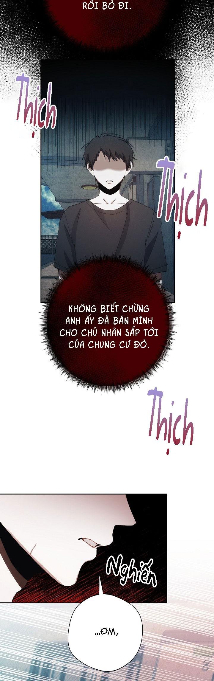 red mansion chapter 37 23