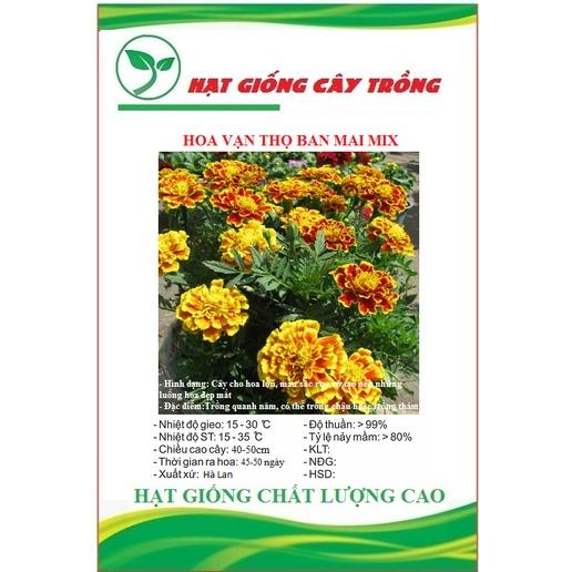 Hạt Giống Hoa Vạn Thọ Pháp Ban Mai CT396 - Gói 50 hạt
