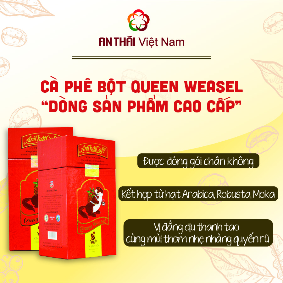 Cà phê pha phin - AnThái Café Queen Weasel - Hộp 500g - Nguyên chất, đậm đà