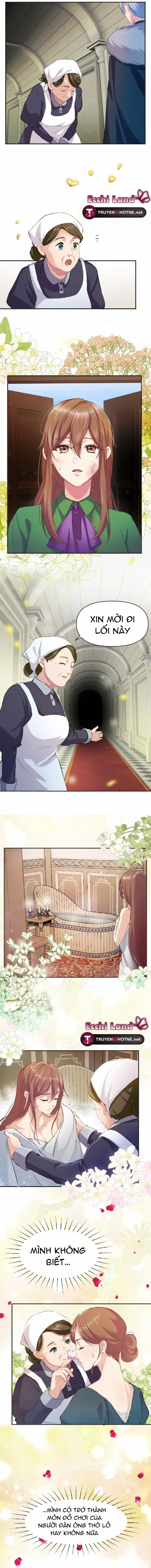 cô dâu lừa dối và chàng sư tử hung dữ chapter 2.1 6