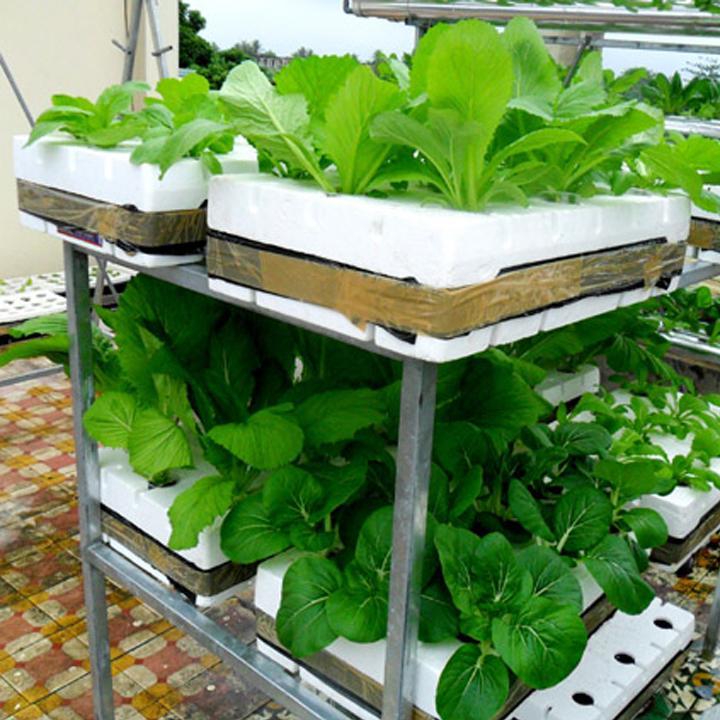 Bộ Dung Dịch Dinh Dưỡng Thủy Canh HydroUmat V Cho Rau Ăn Lá VTNN Nông Điền Trang