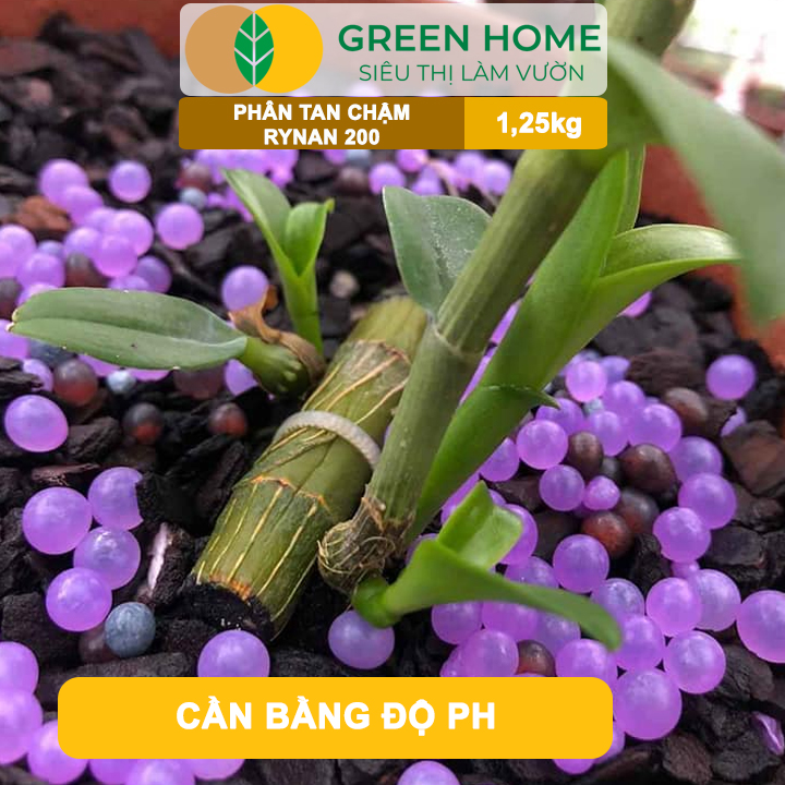 Phân Tan Chậm GreenHome, Rynan 200, Hũ 1,25kg, Dành Cho Phong Lan Con, Bonsai Kích Chồi, Dưỡng Chất