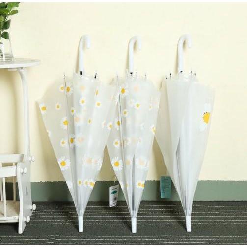 Ô Cán Dài In Họa Tiết Cúc Họa Mi