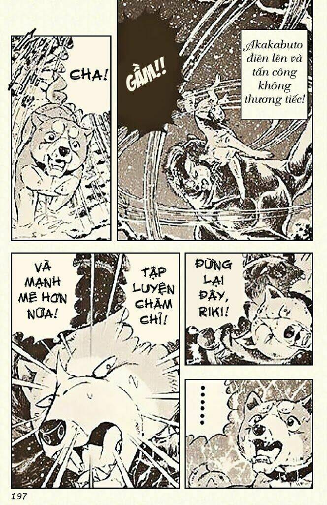 ginga densetsu riki chapter 6 28