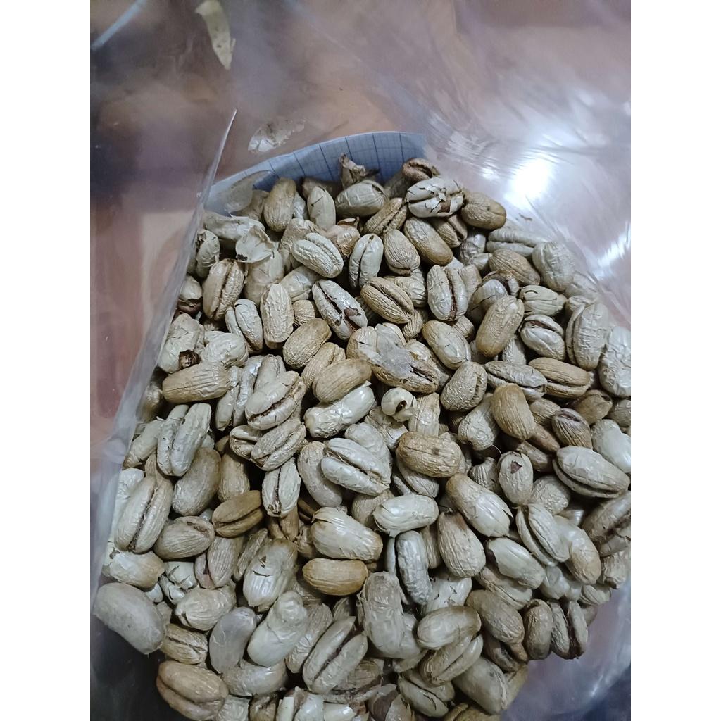 Hạt giống chà là kiểng - chà là cảnh | 500 gram/gói