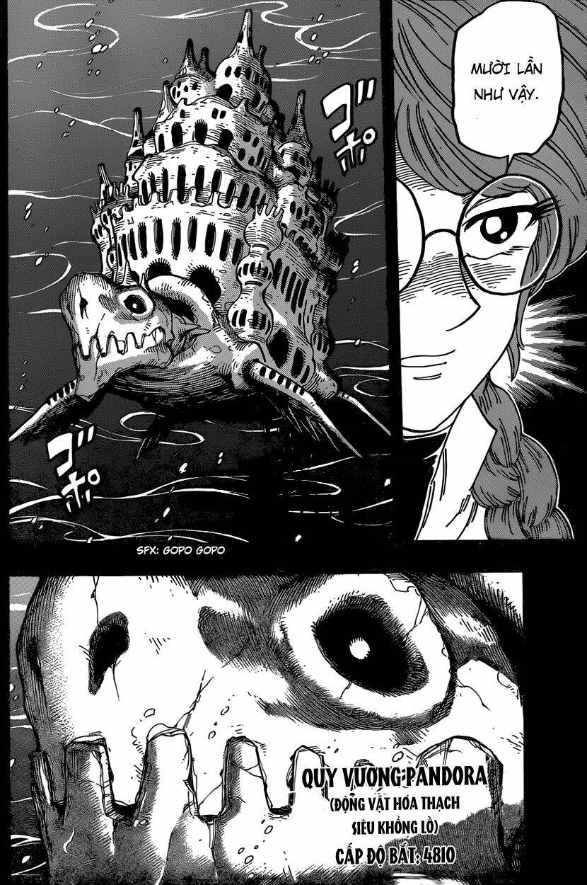 thợ săn ẩm thực chapter 347 14