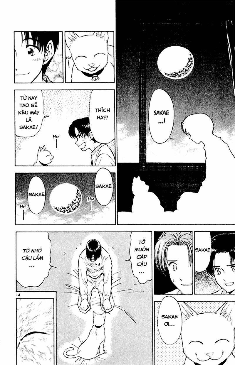 salad days chapter 38 16