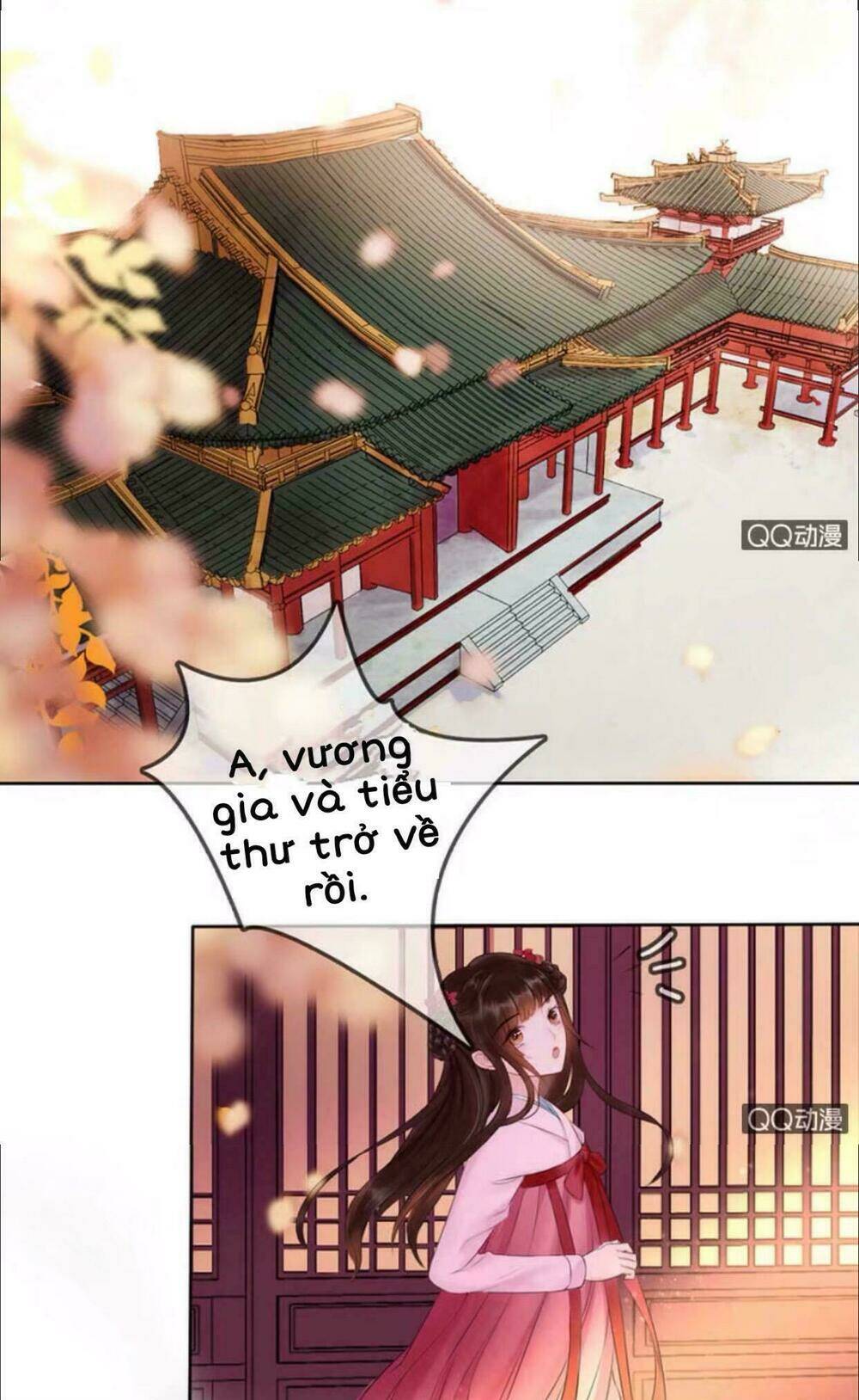 sủng phi của vương chapter 22 3