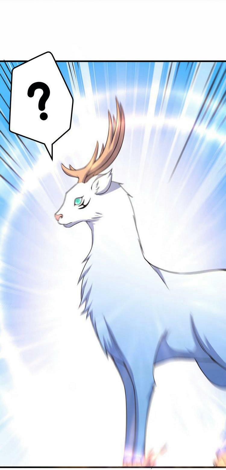 Hậu Cung Của Ta Dựa Vào Rút Thẻ Chapter 169 20