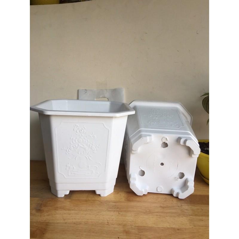 Combo Chậu Nhựa Vuông, Chậu Vuông Trắng Có Hoa Văn Nổi 4 Chân Cao Dễ Thoát Nước