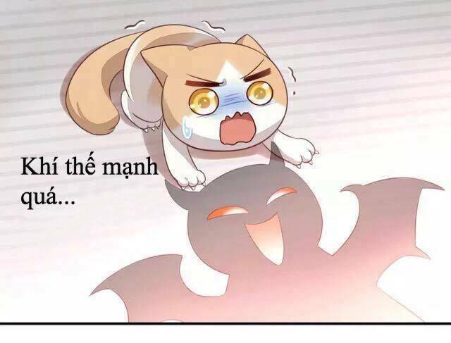 thị hoang chi thần chapter 17 38