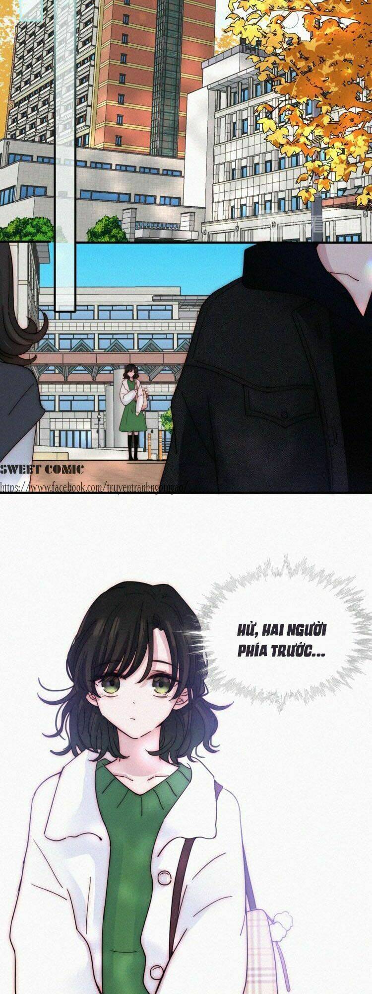 nếu ngày đó chúng ta chưa quen biết chapter 32 12