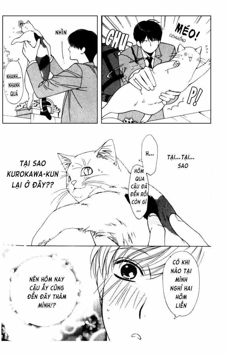 neko neko honey chapter 4 19