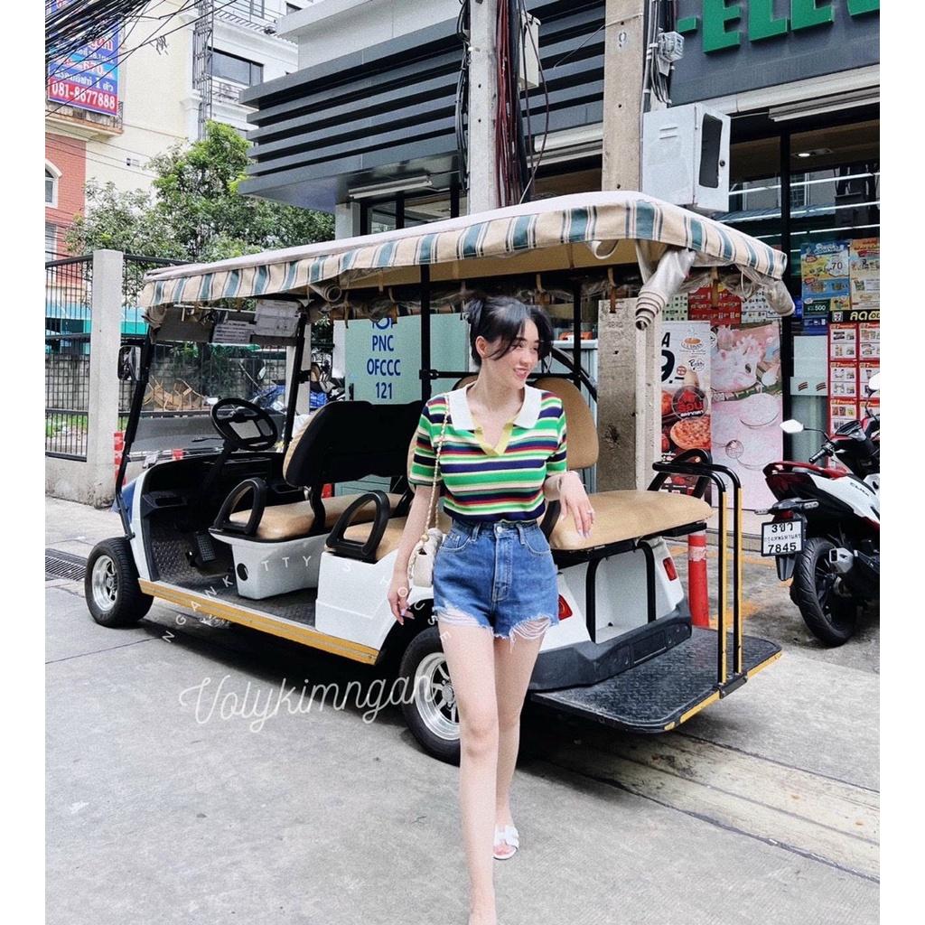 Áo len polo kẻ ngang sắc màu