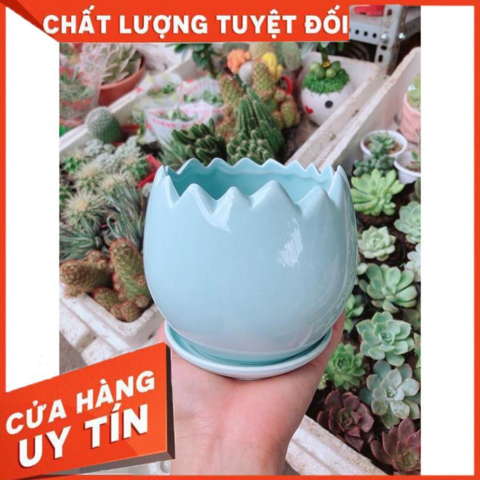 Chậu kiểu có dĩa lót